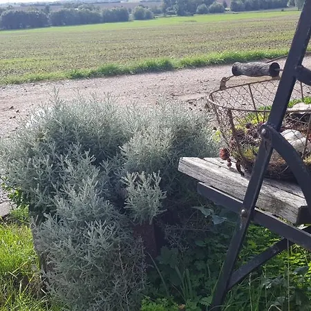 Schöne Aussicht Apartment *