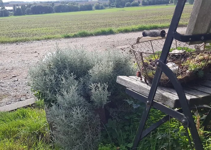 Schoene Aussicht Lejlighed *